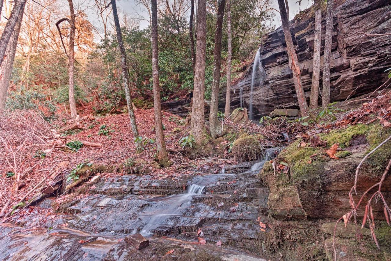 Hilltop Cabin On 5 Acres With Hot Tub And Waterfall! ブライソン・シティ エクステリア 写真